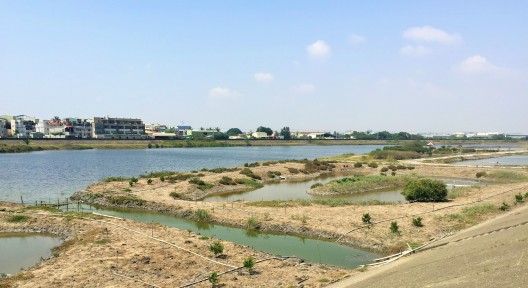 Los humedales del río Erren en la actualidad, Foto tomada por la autora durante visita, 2015.