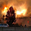 incendios forestales valparaiso alerta roja