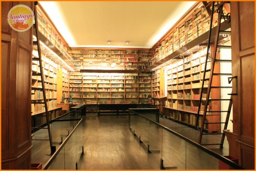 Biblioteca Patrimonial Recoleta Dominica Cortesia Santiago a Pata