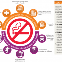 proyecto de ley lugares para no fumar