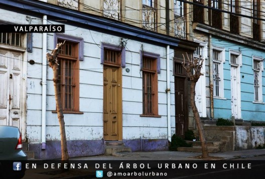 Valparaíso. Fuente imagen: En Defensa del Arbol Urbano en Chile, vía Facebook. 