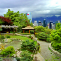 jardin japones parquemet