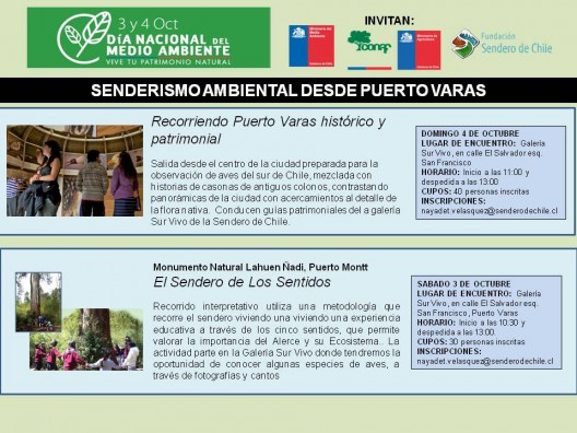 Dia Nacional del Medio Ambiente Sendero de Chile Puerto Varas